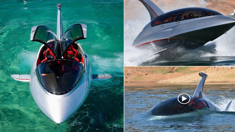 Jet Shark takes multiple passengers on a semi-submersible thrill ride