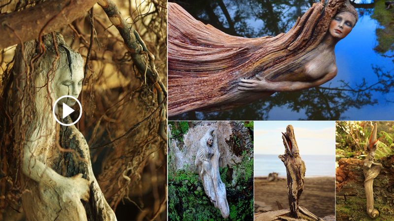 The artist creates intricate driftwood sculptures that resemble nature s spirits.