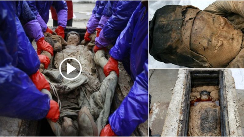 700-Year-Old Ming Dynasty Woman’S Perfectly Preserved Remains Leave Scientists Astonished.