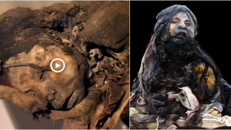 SHOCK! Researchers Found Three Children’s Icana Mummies ‘BURIED ALIVE’ in Sitting Position 500 Years Ago