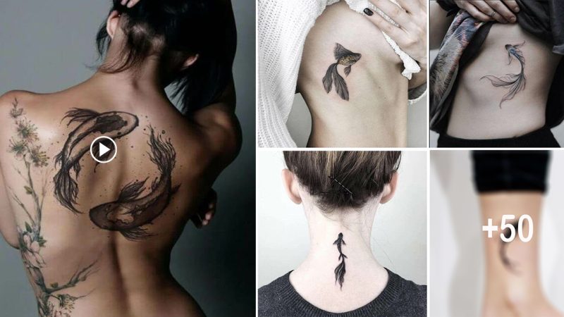 51 new fish tattoo ideas and designs