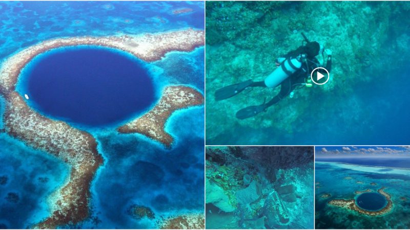 The bottom of the world’s largest blue hole was discovered, and the first mystery was revealed.