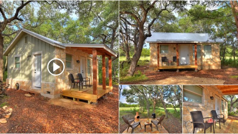 You’ll Enjoy This Stylish Tiny Cabin On A Beautiful Wooded Lot