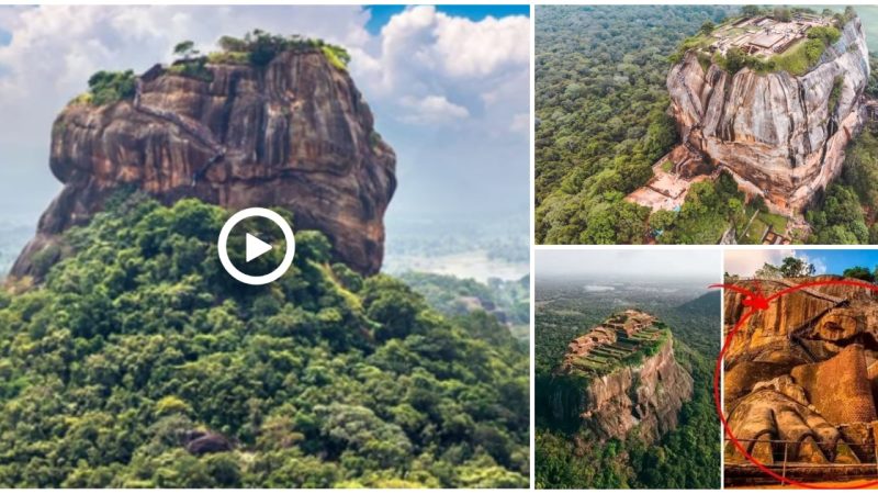 Discovering Sigiriya’s Wonders: An Ancient High-Altitude City Built with Advanced Technology and Ingenious Design.