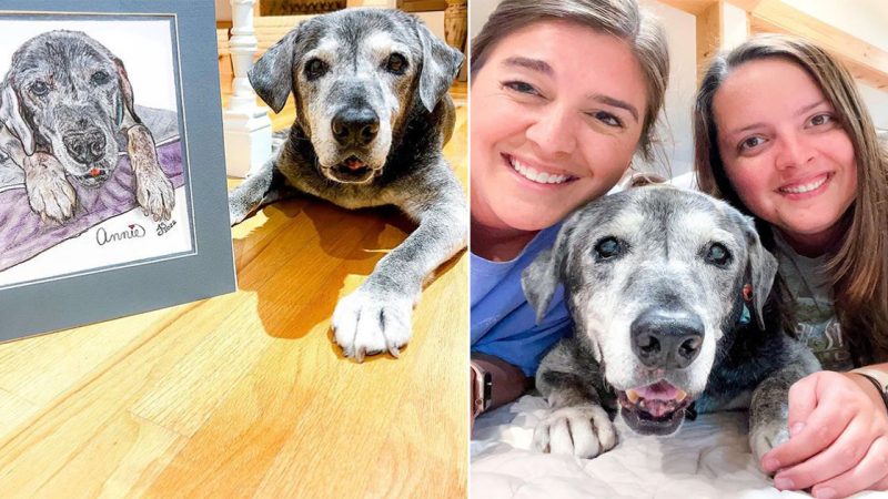 Best friends take in 19-year-old shelter dog and are making her last days magical