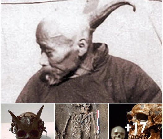 Uncovering the Mystery of the Giant-Horned Human Skeleton Discovered in the 1880s: What Does it Tell Us About Our Past?