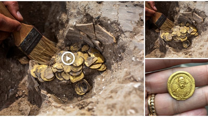 Among the world’s oldest coins, the largest one dates back 600 years and can be found in Canada.