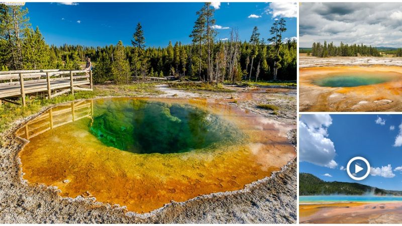 The Grand Prismatic Spring