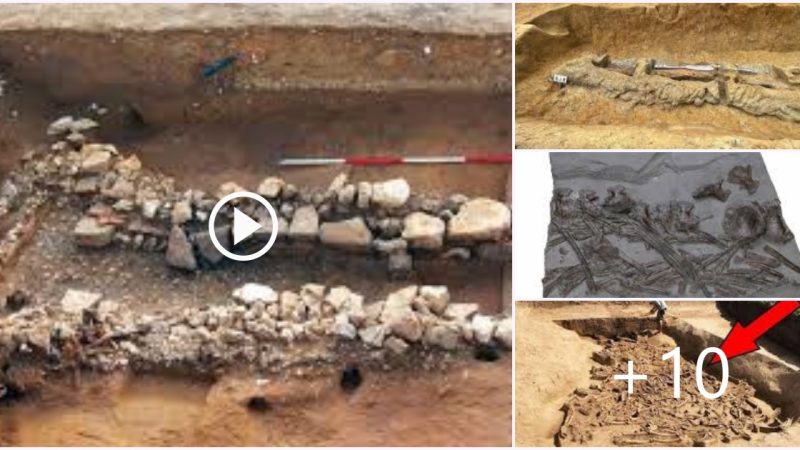 Neolithic Mass Grave Mystery