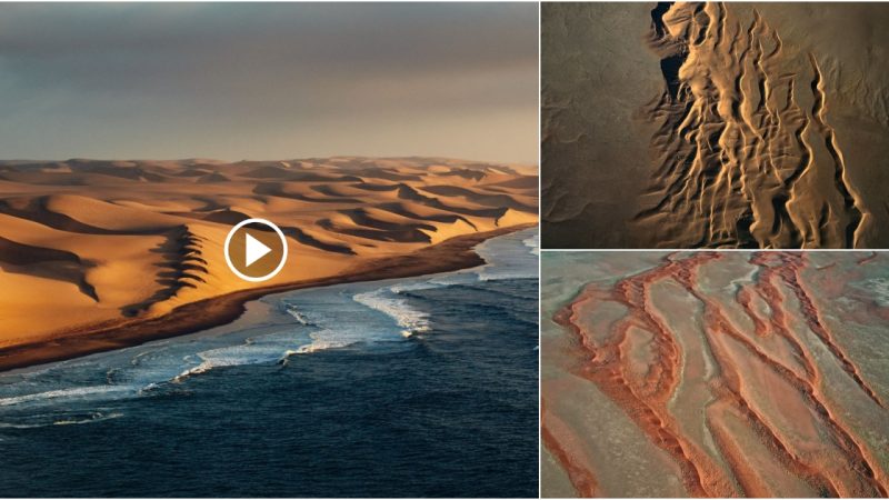 The end of the Namib desert, with incredible lines and textures.