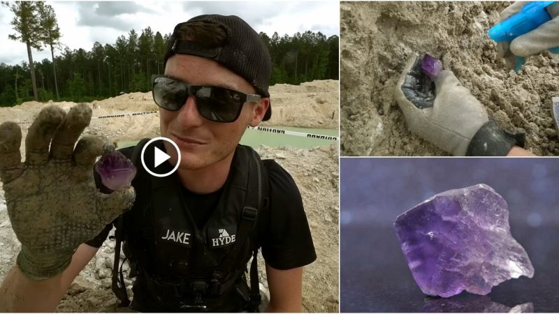 Rare Amethyst Gem Discovered in the United States During Epic Mining Expedition, Worth $1,000,000 (Video in the end)