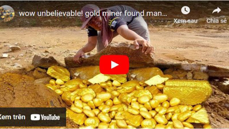 A gold miner unearthed valuable gold nuggets that date back millions of years.