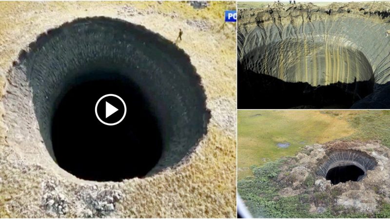 In the Arctic regions, a strange volcanic crater recently erupted, devouring everything.