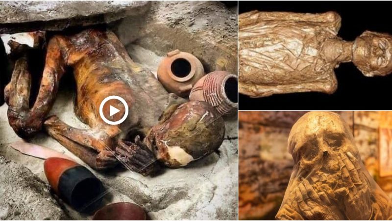 This is the oldest existing Egyptian mummy. It is over 5500 years old