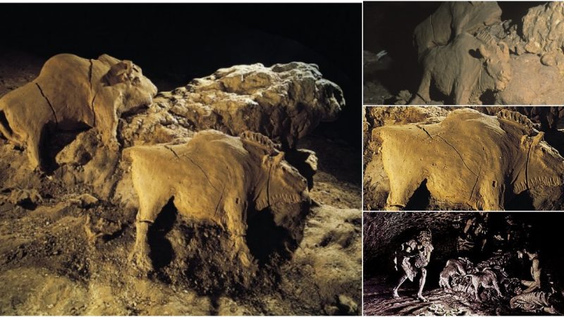 Remarkable Discovery: 14,000-Year-Old Bison Sculptures Unearthed in Le Tuc d’Audoubert Cave, Ariege, France