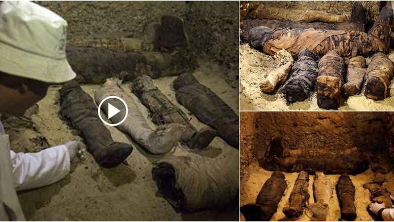 In Egypt’s Valley of the Kings, 50 mummified remains, including newborn infants, were discovered in a massive tomb.