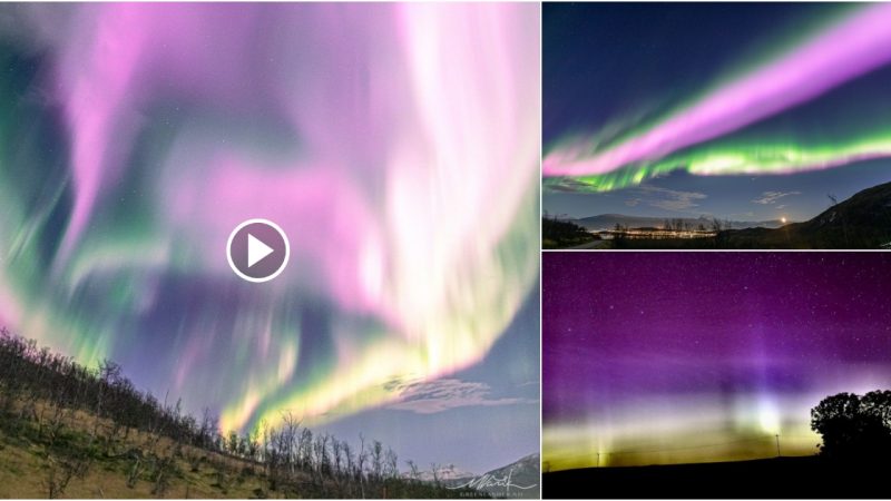 Polar quag–beautiful red, blue, and green spots in the sky.