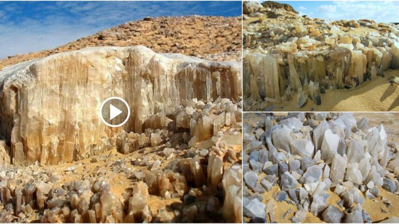 “The Enchanting Crystal Mountain: A 33 Million-Year-Old Egyptian Wonder”