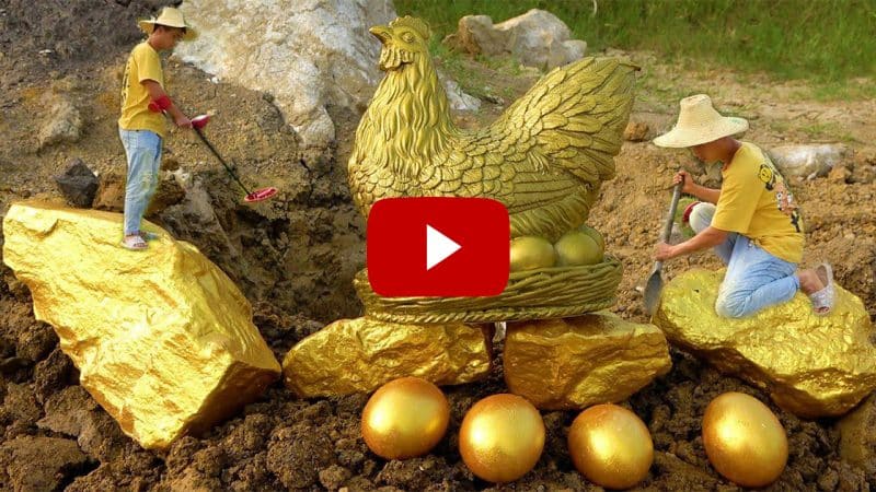 In the Wild Treasure Hunt, an Unexpected Encounter: Unveiling the Golden Pheasant and Golden Stone