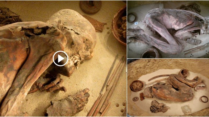 A 5,600-year-old mummy reveals the secrets of the oldest Egyptian embalming method yet discovered.