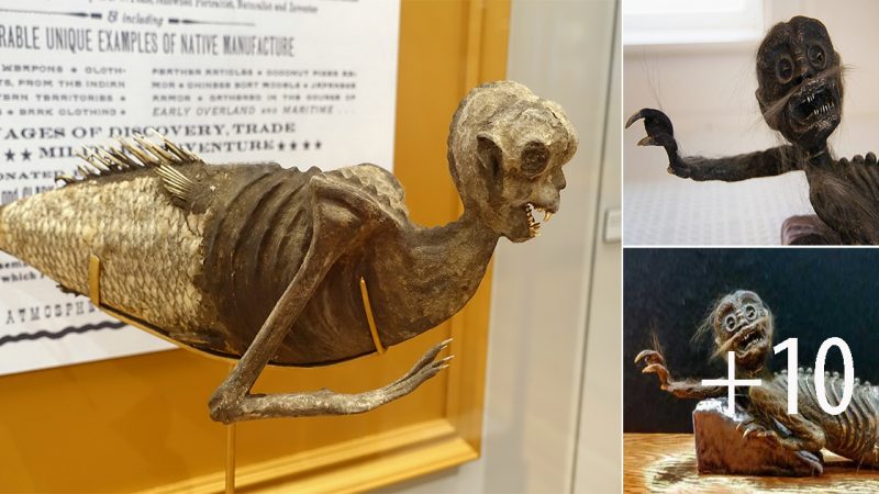 The FeeJee Mermaid: Unveiling the Enigmatic Hoax of the 19th Century