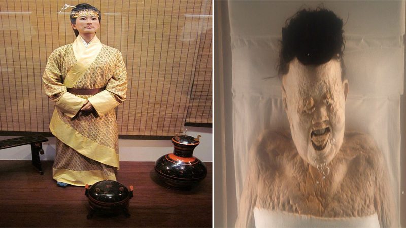 Unforgettable 2,100-Year-Old Mummy of Lady of Dai Still Has Her Own Hair and Soft Skin