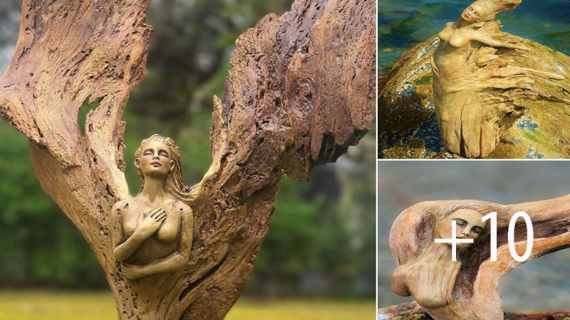 Canadian Artist Transforms Driftwood into Mesmerizing Sculptures of Forest Spirits