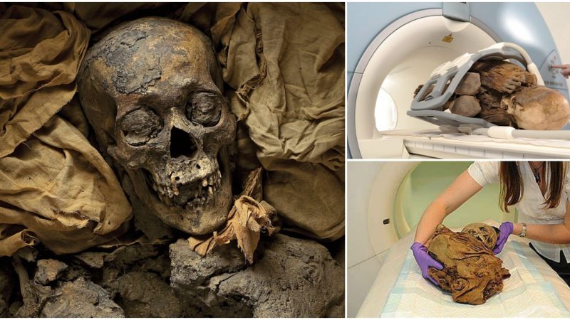 “Unearthing Possibilities: Mummy Research’s Potential in Discovering Cures for Modern Ailments”.