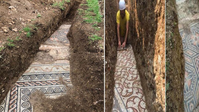 Extremely well-preserved mosaics of a Roman villa discovered under a vineyard in Negrar, Italy. Photo by Comune di Negrar di Valpolicella