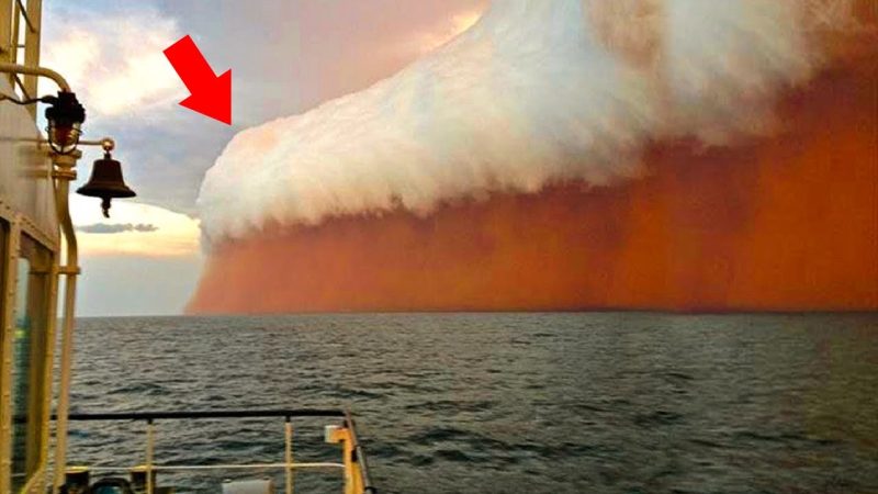 An Australian dust storm that looks like a giant mug of beer.