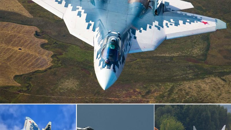 SU-57: This Russiαn Ƅird is Not Friendly, It Destroys