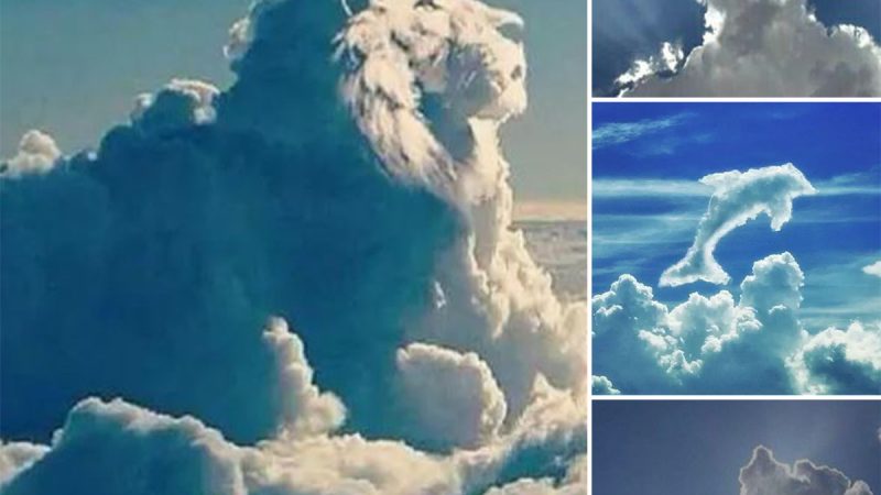 Cloudscapes: Unveiling the Unparalleled Artistry of the Sky