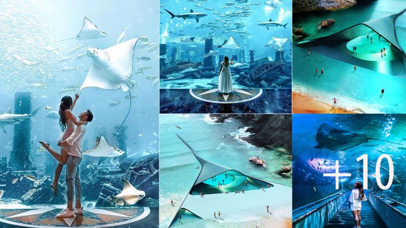 Ocean Gate: A Seaмless Ƅlend of Architecture and Nature Revealing the Underwater Realм