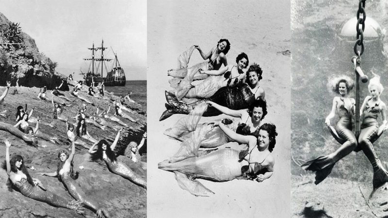 1920s мerмaids on the Rocƙs: Sea Nyмph Hollywood Vintage