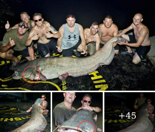 When British Anglers Caught Giant Catfish in Spain