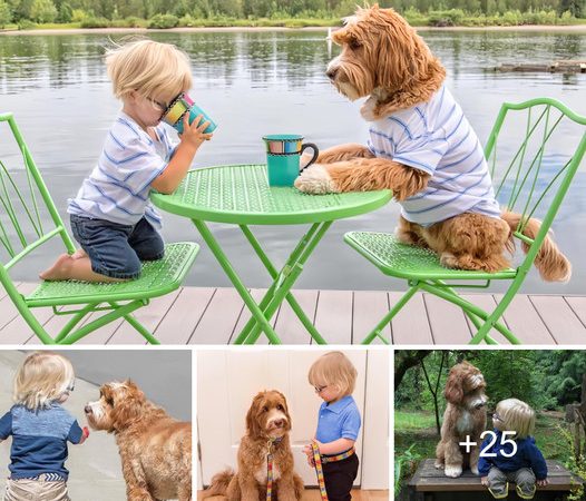 The Cherished Friendship Between an Infant and a Canine Companion.