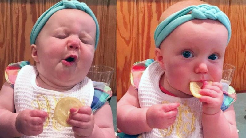 Capturing Hilarious First Reactions: Kids Trying Lemons for the First Time