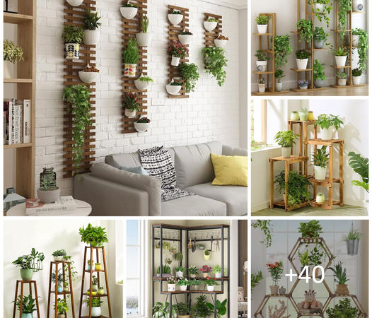 Elevate Your Greenery: Creative Plant Stand Ideas for Your Home