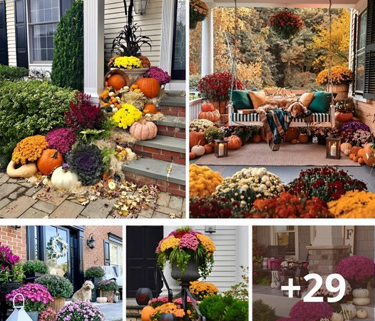 Ideas for Mum Landscaping and 20 Ways to Decorate with Mums