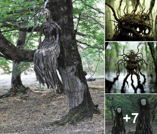 The Enigmatic Beauty of Nature: Branches Resembling Human Figures as Testaments to Nature’s Artistry