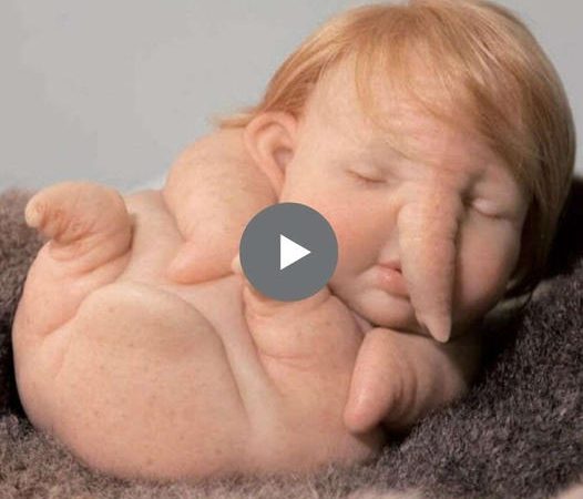 Unveiling the Marvel of the Elephant-Nosed Baby