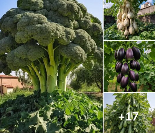 Reimagining Agriculture: Ground-Growing Crops Reach New Heights on Towering Trees