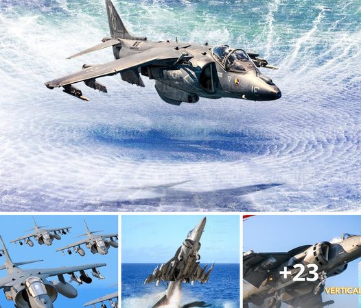 US AV-8B Harrier II Demonstrates Remarkable Vertical Capabilities Above Aqueous Landscape