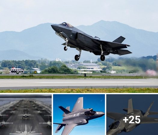 South Korea to Acquire Cutting-Edge F-35 Jets in $5 Billion US Deal Approval