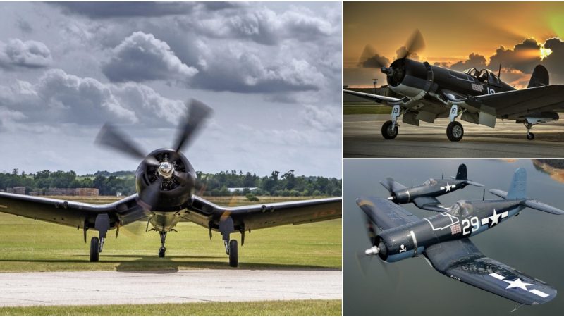 Explore the Iconic Vought F4U Corsair: The Beloved Bent-Winged Bird