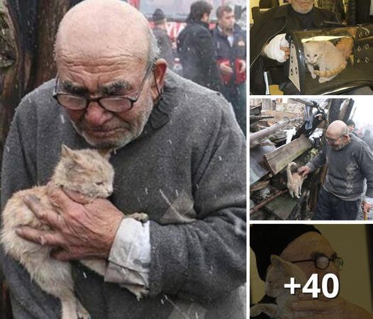 After Losing His Home in a Fire, 83-Year-Old Man Clings to His Most Precious Companion: His Beloved Cat