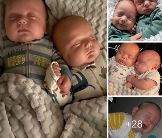 Charming 7-Month-Old Twins Insist on Sleeping Together and Protest When Separated