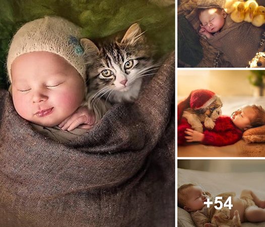 Touching Scenes: Adorable Newborns Cuddling with Baby Animals in Enchanting Photographs