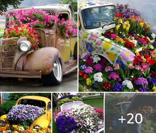 Transforming an Abandoned Vehicle into a Garden Masterpiece: Unique DIY Ideas