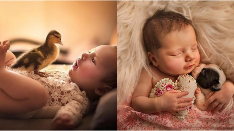 Nurturing Bonds: Newborns and Furry Friends in Heartwarming Photography